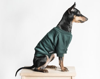 Dog Sweater / Dog jumper - Handmade fleece lined sweatshirt for dogs - Dark Green. Tripod friendly