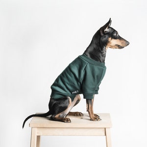 Dog Sweater / Dog jumper - Handmade fleece lined sweatshirt for dogs - Dark Green. Tripod friendly