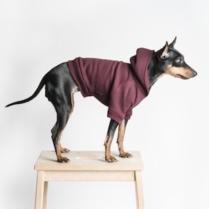 Dog Hoodie / Dog hooded sweater Handmade fleece lined hoodie for dogs Maroon. Tripod friendly image 1