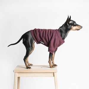 Maroon Dog Sweater Etsy
