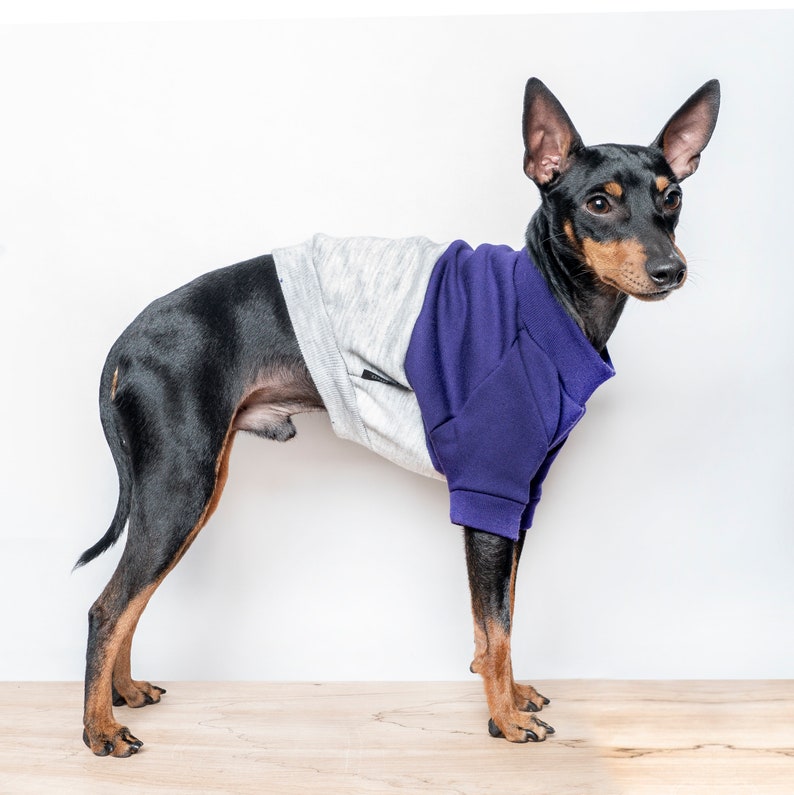 Pull pour chien / Pull pour chien Bloc de couleur Sweat-shirt doublé en polaire fait à la main pour chiens Violet / Gris coupé et cousu. Compatible avec les trépieds image 1