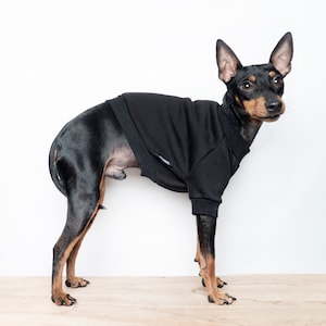 Dog Sweater, Dog jumper, Fleece lined dog coat, Handmade gift for dogs and puppies, Coat with legs- Black. Tripod friendly