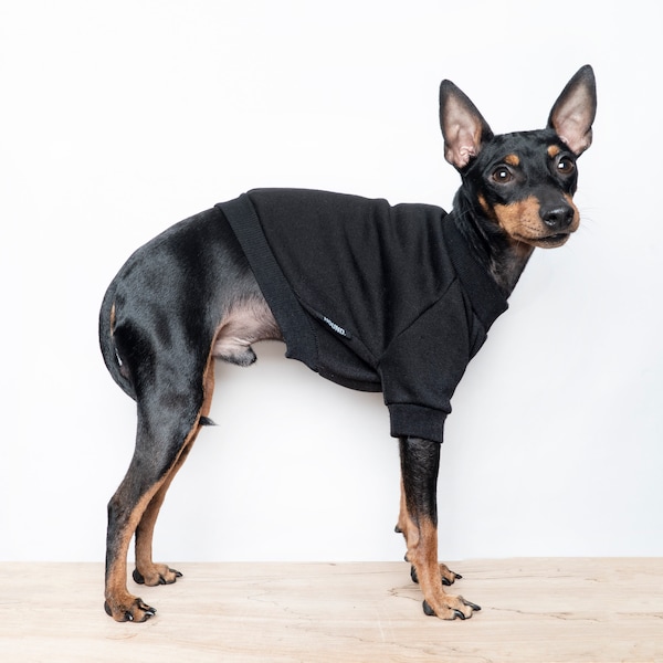 Dog Coat With Legs Etsy