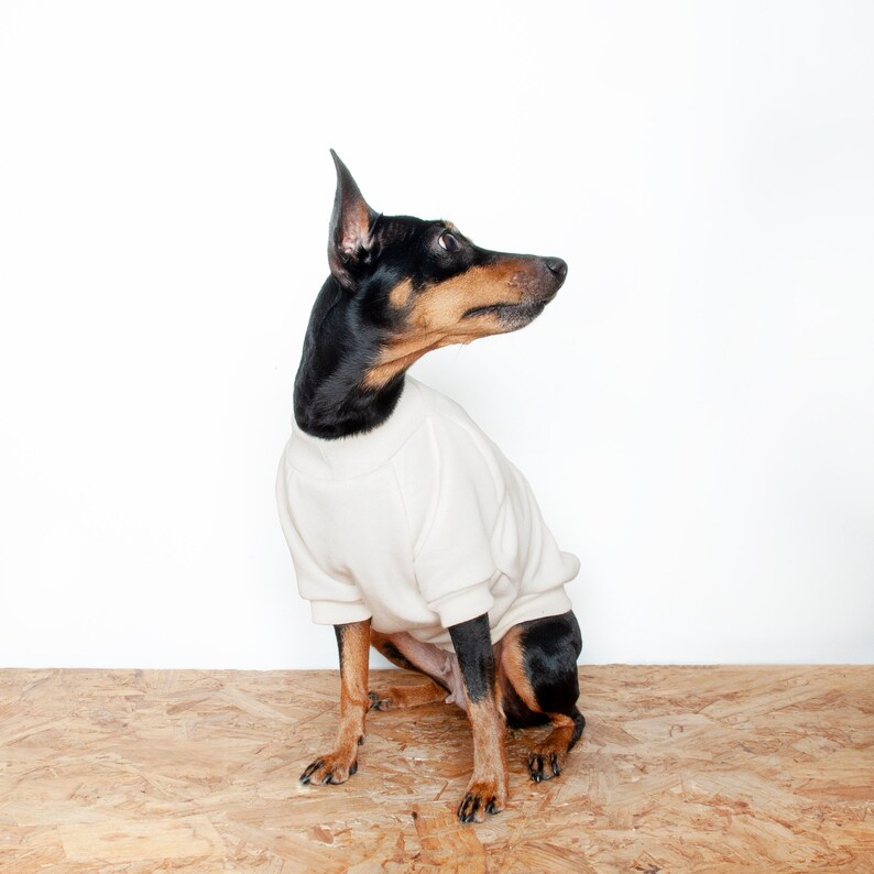 Dog Sweater, Dog jumper, Handmade fleece dog coat, Puppy pyjamas, Dog parent gift, Custom size dog fleece for small to large breed Cream. image 2