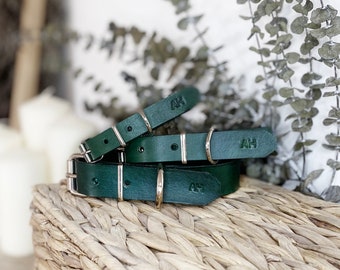 Dog collar in green leather, handmade gift for dogs and puppies, suitable for small to large dogs, pet accessories gift for dog lovers