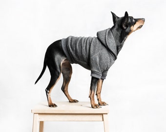 Dog Hoodie / Dog hooded sweater, Handmade fleece lined hoodie for dogs,  Dark Grey. Tripod friendly