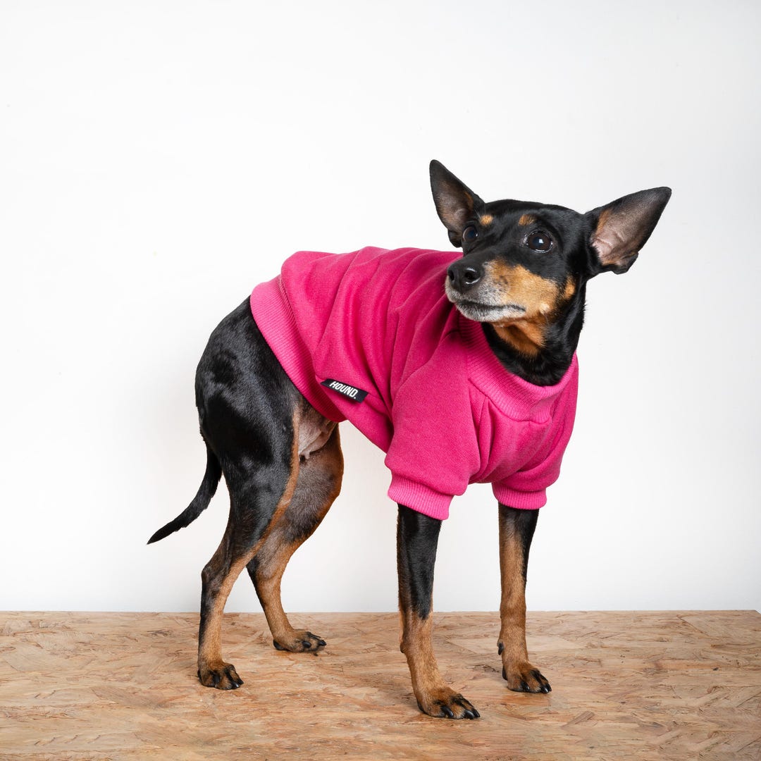 SMALL DOG - Play Time Doggy Sweater Pink