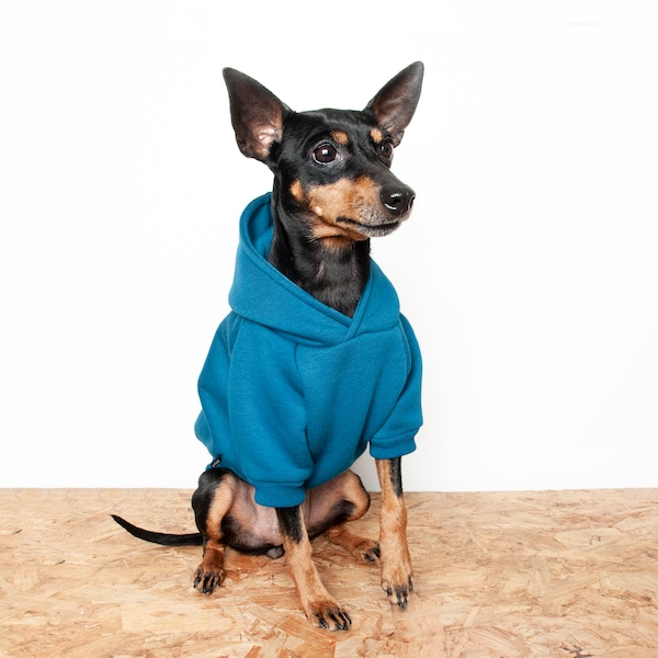 Dog Hoodie / Dog hooded sweater, Handmade fleece lined coat for dogs - Teal blue. Tripod friendly