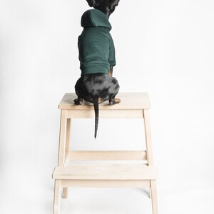 Dog Hoodie / Dog hooded sweater Handmade fleece lined hoodie for dogs Dark Green. Tripod friendly image 2