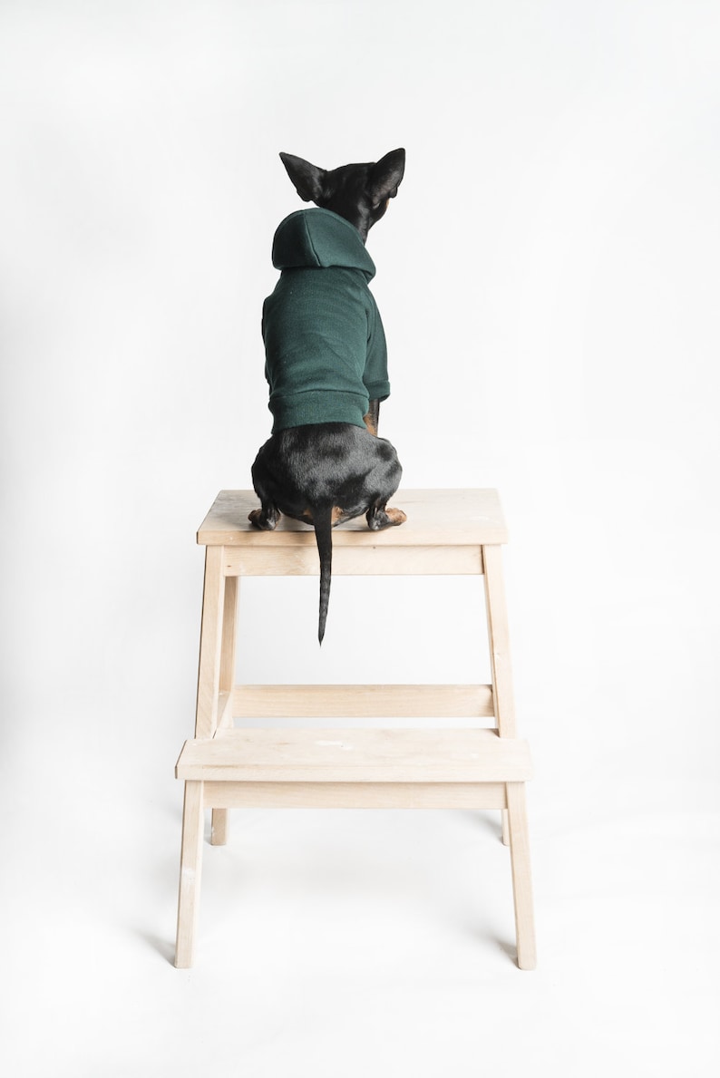 Dog Hoodie / Dog hooded sweater Handmade fleece lined hoodie for dogs Dark Green. Tripod friendly image 2