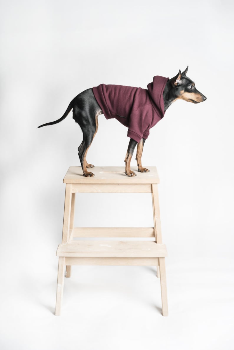 Dog Hoodie / Dog hooded sweater Handmade fleece lined hoodie for dogs Maroon. Tripod friendly image 1