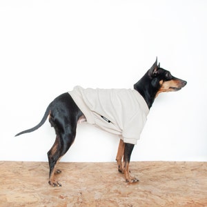 Dog Sweater, Dog jumper, Handmade fleece dog coat, Puppy pyjamas, Dog parent gift, Custom size dog fleece for small to large breed Cream. image 1