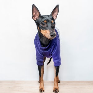 Pull pour chien / Pull pour chien Bloc de couleur Sweat-shirt doublé en polaire fait à la main pour chiens Violet / Gris coupé et cousu. Compatible avec les trépieds image 4