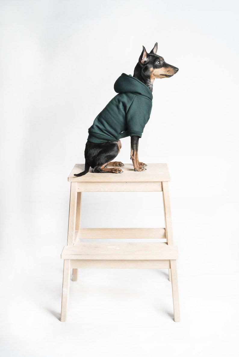 Dog Hoodie / Dog hooded sweater Handmade fleece lined hoodie for dogs Dark Green. Tripod friendly image 1