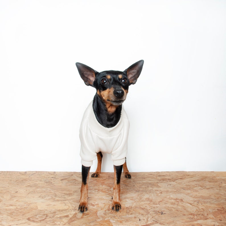 Dog Sweater, Dog jumper, Handmade fleece dog coat, Puppy pyjamas, Dog parent gift, Custom size dog fleece for small to large breed Cream. image 3