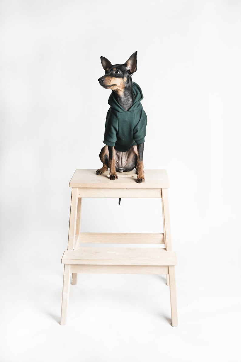 Dog Hoodie / Dog hooded sweater Handmade fleece lined hoodie for dogs Dark Green. Tripod friendly image 3