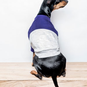 Pull pour chien / Pull pour chien Bloc de couleur Sweat-shirt doublé en polaire fait à la main pour chiens Violet / Gris coupé et cousu. Compatible avec les trépieds image 5