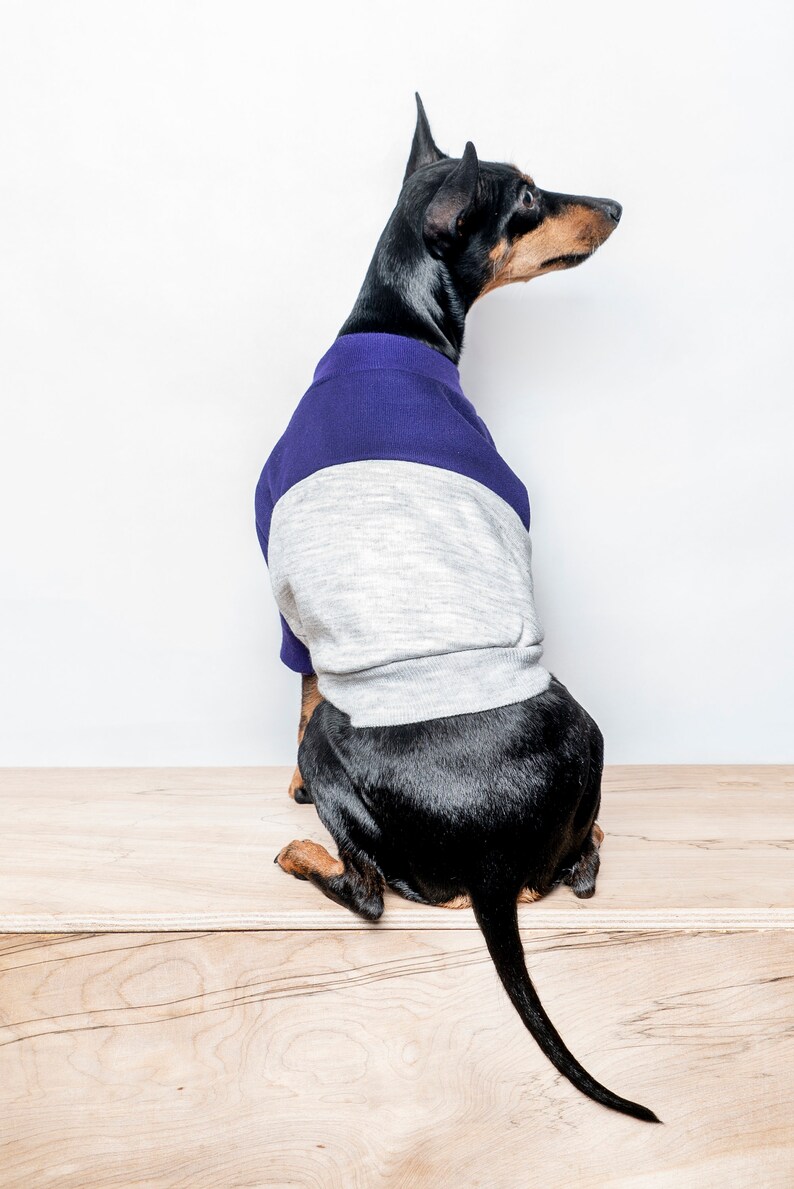 Pull pour chien / Pull pour chien Bloc de couleur Sweat-shirt doublé en polaire fait à la main pour chiens Violet / Gris coupé et cousu. Compatible avec les trépieds image 5