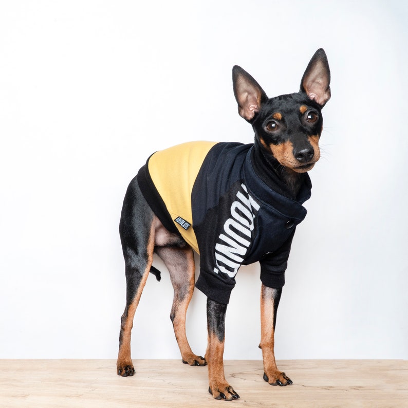 Dog coat / bomber jacket Handmade fleece lined dog jacket Etsy