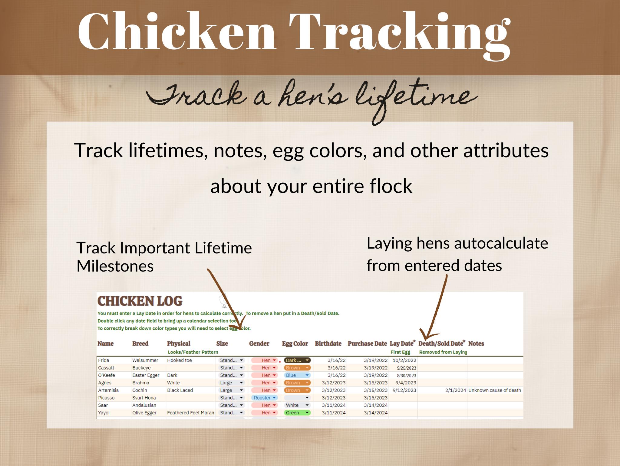 Chicken Tracker & Egg Production Planner - Digital Homestead Tool via ...