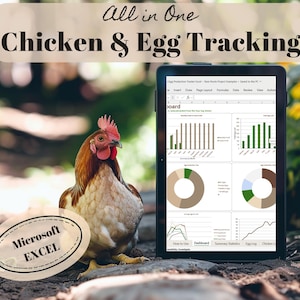 Può includere: Una gallina colorata è accanto a un tablet che mostra grafici e diagrammi. Lo schermo del tablet mostra l'analisi dei dati relativi alla produzione di uova. Il testo sul tablet recita "Egg Production Tracker Excel". Una grafica ovale recita "Microsoft Excel". L'immagine è ambientata all'aperto.