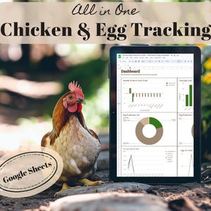 May include: A brown and white hen stands on a path in front of a tablet displaying a Google Sheets spreadsheet with charts and graphs titled "Dashboard". The spreadsheet is titled "Chicken Egg Production Tracker - New Score Production Example". The text "All in One Chicken & Egg Tracking" is displayed above the tablet. The text "Google Sheets" is displayed in a circle on the path.