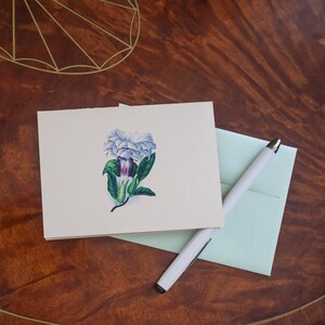 Preciosas tarjetas con ilustraciones botánicas plegadas. Impresas en un estudio propiedad de mujeres en Nueva York. Sobre verde de papel kraft 100 % reciclado.