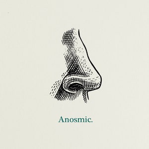 May include: A black and white illustration of a nose with the word "Anosmic." printed below it.
