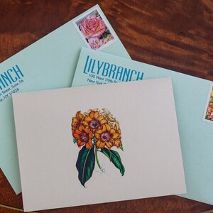 Floral Thank You Cards: Botanical Illustration Notecards with Recycled Envelope