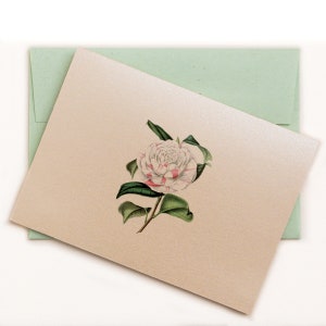 Elegante Camellia botanische notitiekaartenset met gerecyclede Kraft Ledger groene envelop | Gratis verzending | Studio in eigendom van vrouwen in NYC