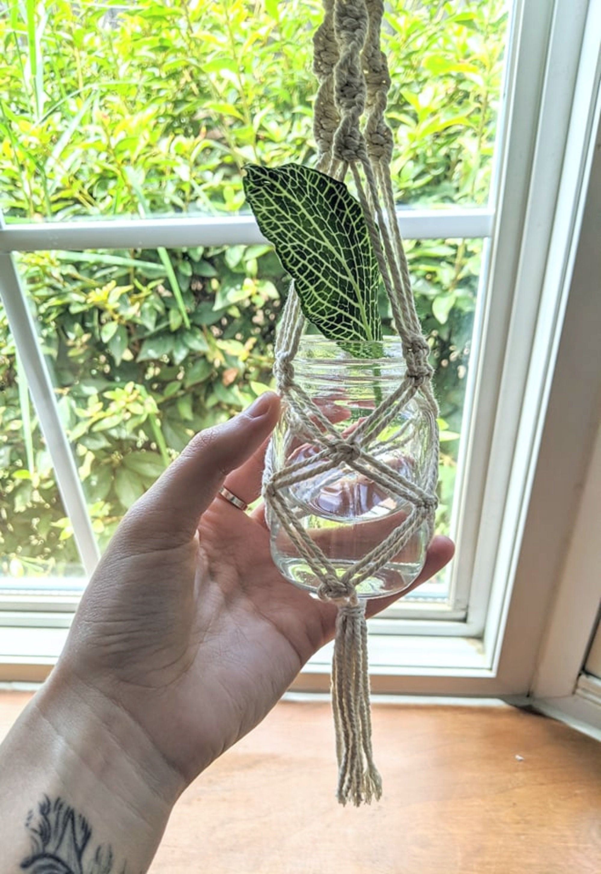 Propagation Station Propagation Vase Hanging Propagation Etsy