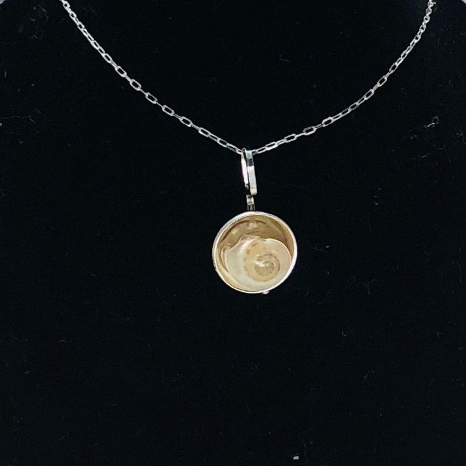 Tiny Snail Shell Necklace Etsy Denmark