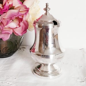May include: A silver-colored sugar bowl with a lid and a small spoon slot. The bowl has a pedestal base and a decorative rim. Pink and white roses are in a glass vase in the background.