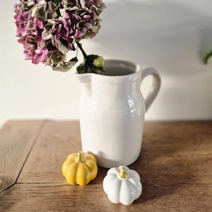 Può includere: Un brocca di ceramica bianca contiene un fiore di ortensia secco con sfumature rosa e verdi. Due piccole zucche di ceramica, una gialla e una bianca, sono su una superficie di legno, creando una natura morta autunnale.