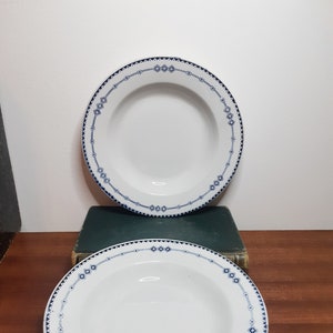Deep plates in Terre de Fer earthenware, Russia, vintage French, 1950s