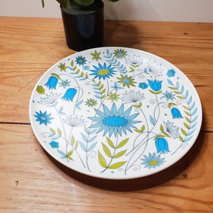 Vintage melamine dinerbord, &quot;Téfal&quot;, Coraline de Rumilly, gemaakt in Frankrijk, campingbord