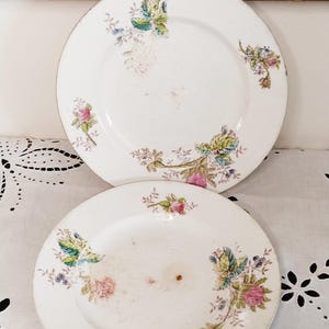 Antique polychrome plates, Saint Amand and Hamage, vintage French