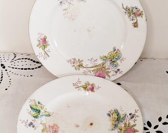 Antique polychrome plates, Saint Amand and Hamage, vintage French