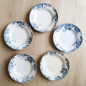 Deep plates (5) in Saint Amand and Hamage earthenware, Terre de fer, Marie Louise model, blue color, antique French