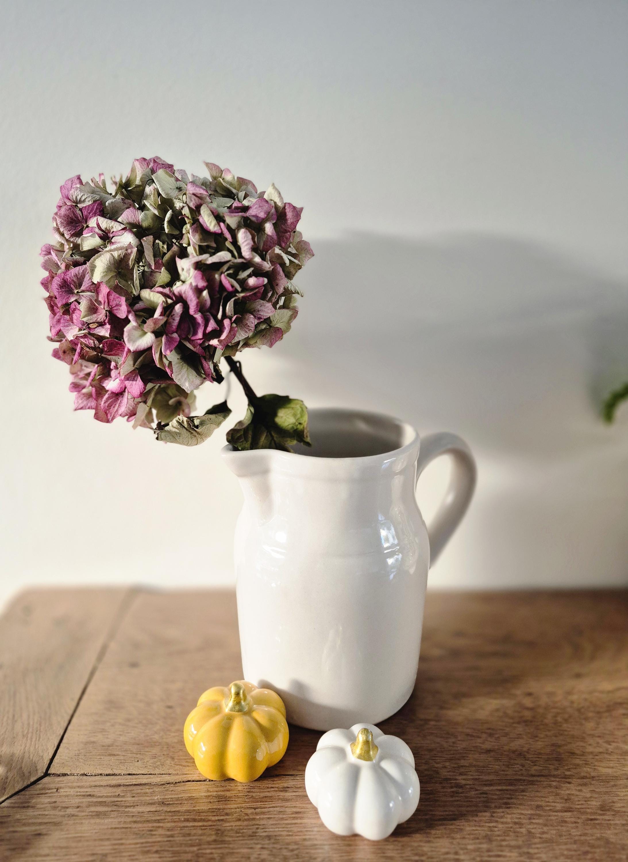 LUNEVILLE ANCIEN PICHET Broc Pot Parisien Faience Blanc Patine Shabby