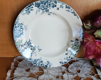 Assiette creuse en faience de Saint Amand et Hamage  , Terre de fer , modèle Marie Louise , coloris bleu ,  antique français