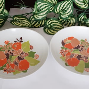 2 flat melamine plates, vintage, made in France