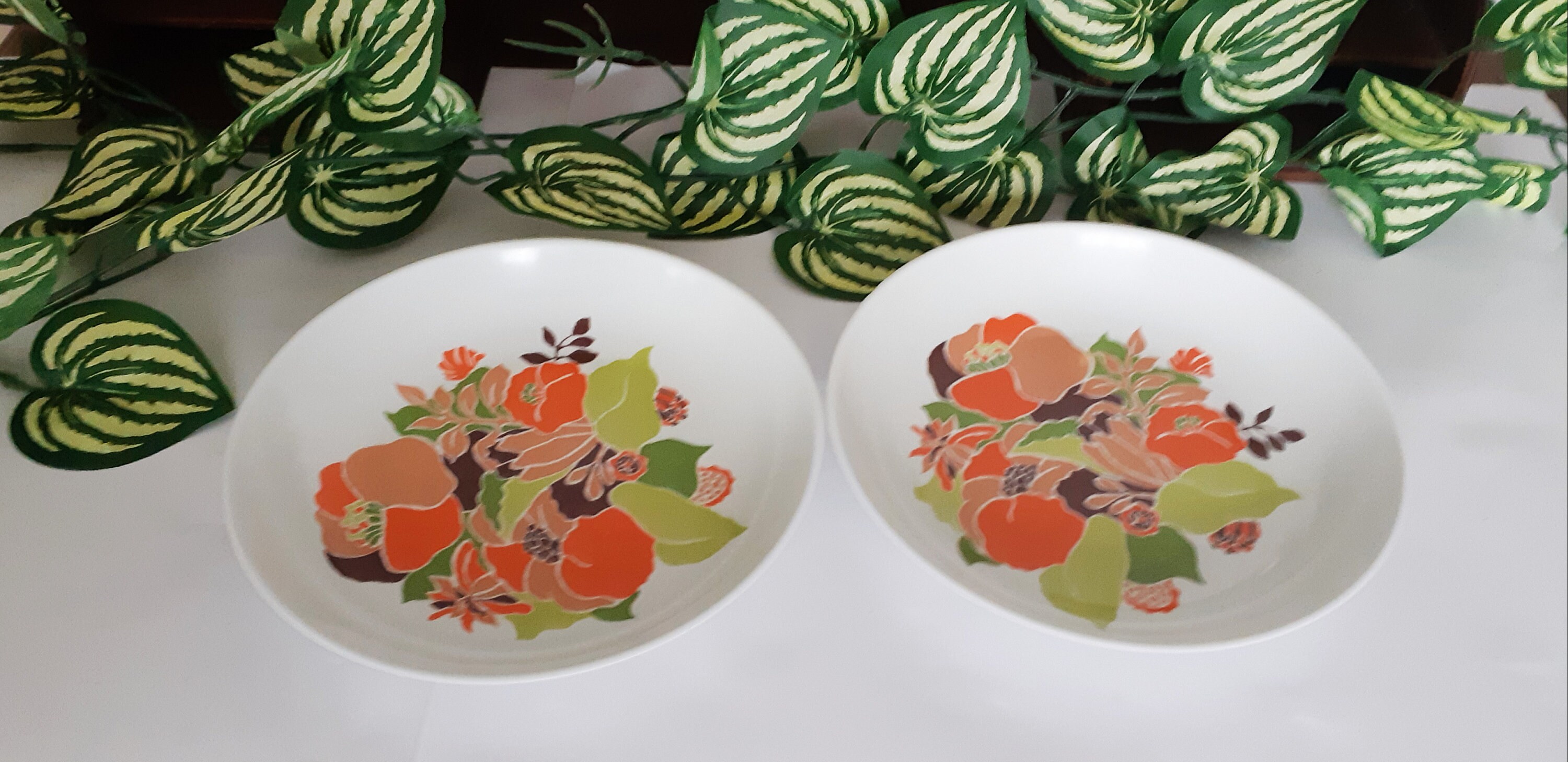 2 Assiettes Plates en Mélamine , Vintage Made in France