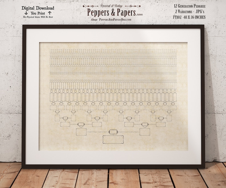 Family Tree Chart, 12 Generation Pedigree, YOU PRINT, 48x36, Genealogy Gift, Ancestry Poster, Family Records, Ahnentafel Chart, FT102 image 3