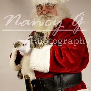 Commercial Image Print License Digital Download for artist of 1 Santa Claus Christmas image artist reference resource stock image cat