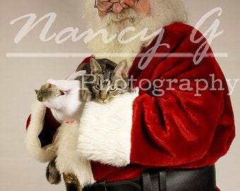 Commercial Image Print License Digital Download for artist of 1 Santa Claus Christmas image artist reference resource stock image cat