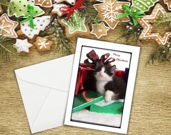 Greeting Card, Christmas Card, Merry Christmas, Kitten, Photographic Fine Art, 5"x7" Card, Greeting Cards, Stationary, Nancy G Photography.