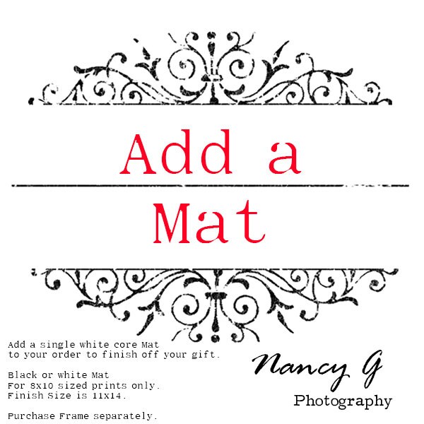 Caballos impresión Oregón decoración occidental arte de la | Etsy