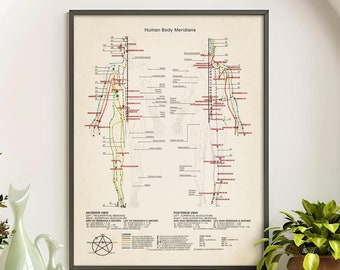 Human Body Meridians, Acupuncture Printable Poster Pressure Points Wall Decor and Print, Chinese Medicine Poster, Vintage Paper Texture.