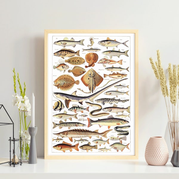 Fischarten 1. Druckbare Wandkunst. Fisch Kollektion. Vintage Illustration von Fischen. Digitale Datei. Zuhause oder Büro Dekor. Lerne Fische Poster